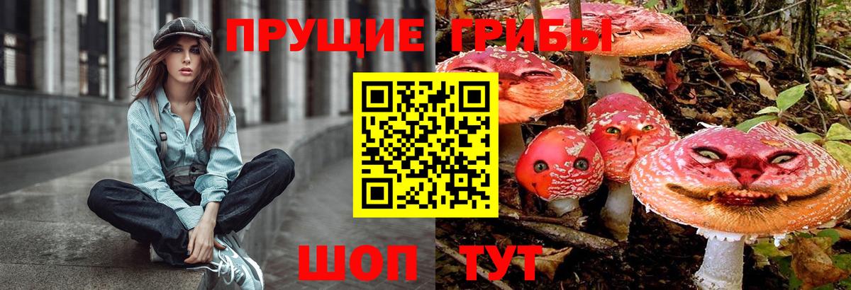 Галлюциногенные грибы MAGIC MUSHROOMS Солнечногорск
