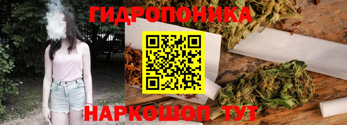 Бошки марихуана OG Kush  Канабис OG Kush  Солнечногорск  Вход с VPN  Канабис марихуана 